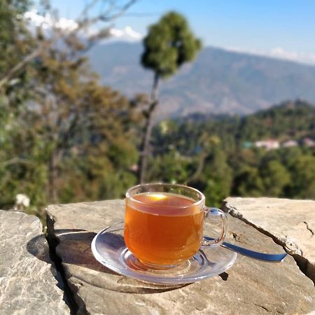 Meraki - Entire 3Bhk Villa With Himalayan Views Ranikhet Exteriör bild